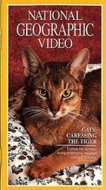 Watch Cats: Caressing the Tiger Viooz