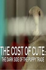 Watch The Cost of Cute: The Dark Side of the Puppy Trade Viooz