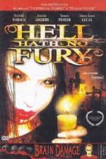 Watch Hell Hath No Fury Viooz