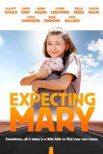 Watch Expecting Mary Viooz