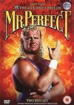 Watch The Life and Times of Mr. Perfect Viooz