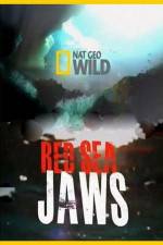 Watch National Geographic Red Sea Jaws Viooz