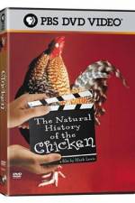 Watch The Natural History of the Chicken Viooz