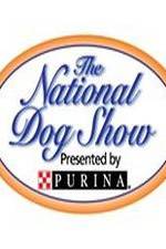Watch National Dog Show Viooz