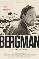 Watch Bergman: A Year in the Life Viooz