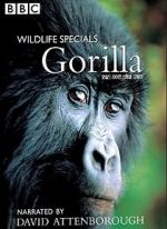 Watch Gorilla Revisited with David Attenborough Viooz