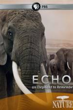 Watch Echo: An Elephant to Remember Viooz