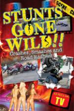Watch Stunts Gone Wild: Crashes, Smashes & Road Rashes! Viooz