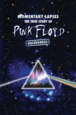Watch Pink Floyd: Momentary Lapses - The True Story Of Pink Floyd Viooz