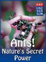 Watch Ants: Nature\'s Secret Power Viooz