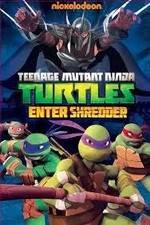 Watch Teenage Mutant Ninja Turtles: Enter Shredder Viooz