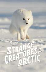Watch Strange Creatures of the Arctic (TV Special 2022) Viooz