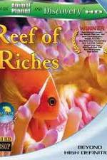 Watch Equator Reefs of Riches Viooz