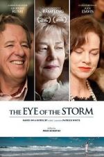 Watch The Eye of the Storm Viooz