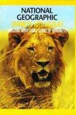 Watch National Geographic: Walking with Lions Viooz