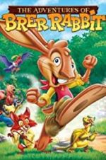 Watch The Adventures of Brer Rabbit Viooz
