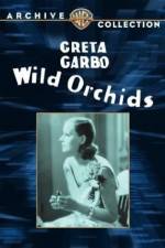 Watch Wild Orchids Viooz
