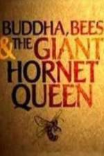 Watch Natural World Buddha Bees and the Giant Hornet Queen Viooz