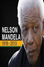 Watch Nelson Mandela: The Final Chapter Viooz