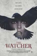 Watch The Ravens Watch Viooz