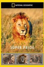 Watch National Geographic: Super Pride  Africa's Largest Lion Pride Viooz