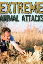 Watch Extreme Animal Attacks Viooz