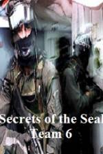 Watch Discovery Channel Secrets of Seal Team 6 Viooz
