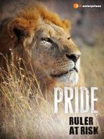 Watch Pride - Ruler\'s at Risk Viooz