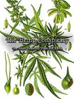 Watch The Hemp Conspiracy: The Most Powerful Plant in the World (Short 2017) Viooz