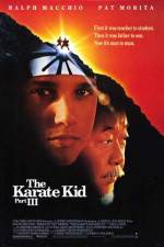 Watch The Karate Kid, Part III Viooz