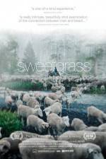 Watch Sweetgrass Viooz