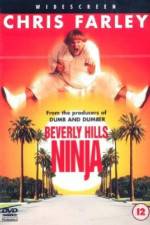 Watch Beverly Hills Ninja Viooz