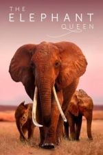Watch The Elephant Queen Viooz
