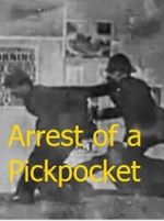 Watch The Arrest of a Pickpocket Viooz