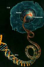 Watch Horizon: Miracle Cure? A Decade of the Human Genome Viooz