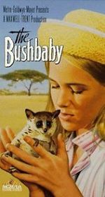 Watch The Bushbaby Viooz
