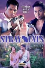 Watch Stray Cats Viooz