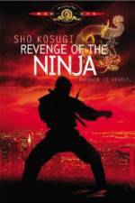 Watch Revenge of the Ninja Viooz