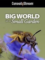 Watch Big World in a Small Garden (TV Short 2016) Viooz