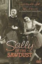Watch Sally of the Sawdust Viooz