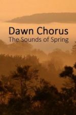 Watch Dawn Chorus: The Sounds of Spring Viooz