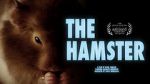 Watch The Hamster Viooz