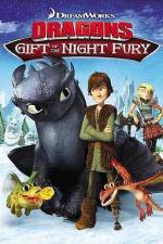 Watch Dragons Gift of the Night Fury Viooz