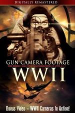 Watch Gun Camera Footage WWII Viooz