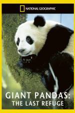 Watch National Geographic Giant Pandas The Last Refuge Viooz