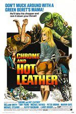 Watch Chrome and Hot Leather Viooz