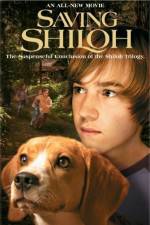 Watch Saving Shiloh Viooz