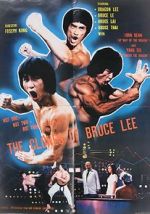 Watch The Clones of Bruce Lee Viooz