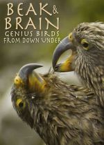 Watch Beak & Brain - Genius Birds from Down Under Viooz