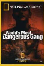 Watch National Geographic World's Most Dangerous Gang Viooz